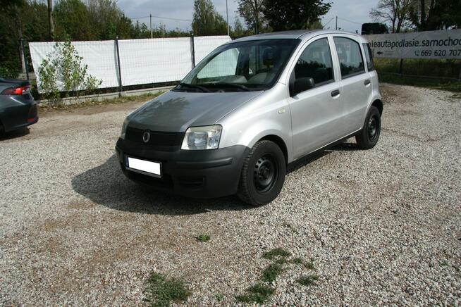 ładna Panda nie zgniła 1.1 benzynka