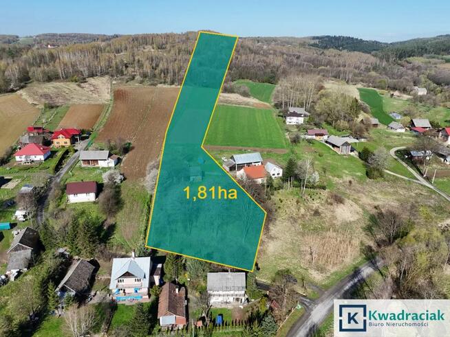 Dom Śliwnica gm. Dubiecko,