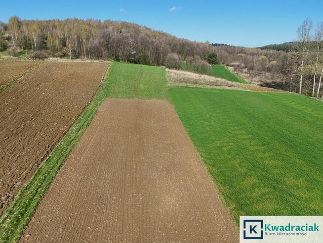 Dom Śliwnica gm. Dubiecko,