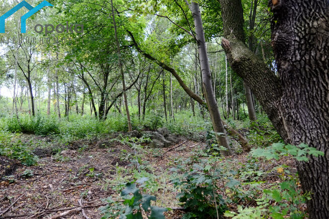 Działka inwestycyjna Dąbrowa Górnicza, Siemońska