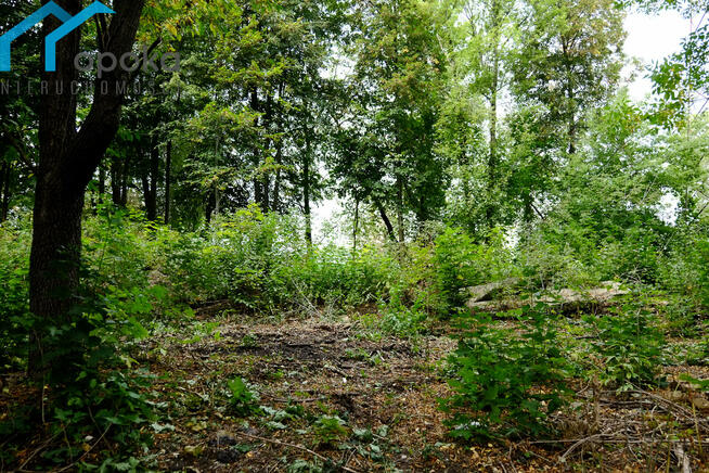 Działka inwestycyjna Dąbrowa Górnicza, Siemońska