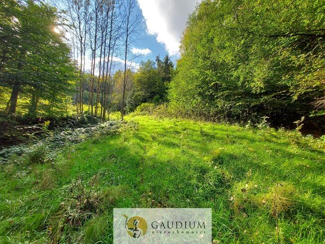 Niegdyś siedlisko-dziś Twój ruch | 5,6 ha Kobysewo