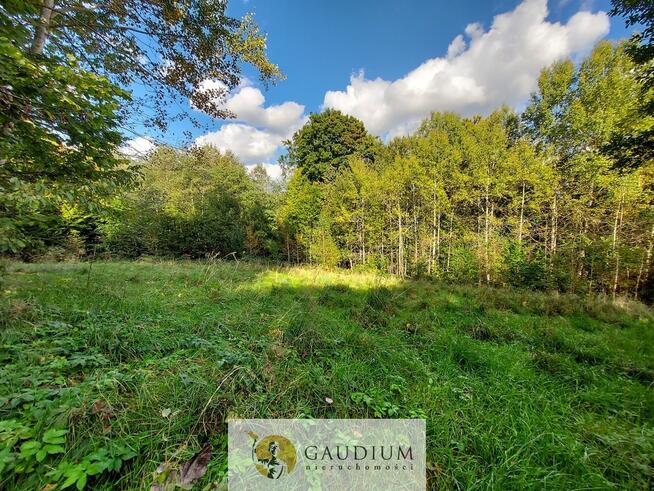 Niegdyś siedlisko-dziś Twój ruch | 5,6 ha Kobysewo