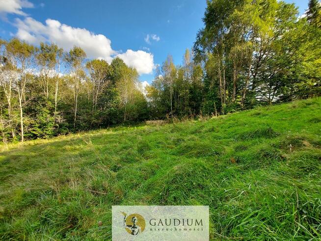 Niegdyś siedlisko-dziś Twój ruch | 5,6 ha Kobysewo