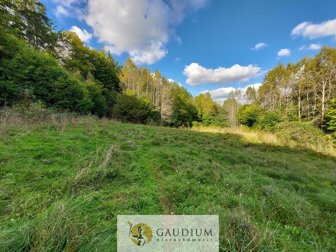 Niegdyś siedlisko-dziś Twój ruch | 5,6 ha Kobysewo