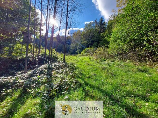 Niegdyś siedlisko-dziś Twój ruch | 5,6 ha Kobysewo