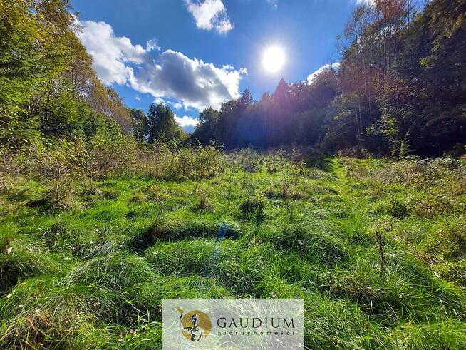 Niegdyś siedlisko-dziś Twój ruch | 5,6 ha Kobysewo