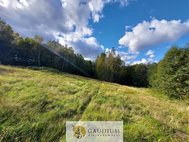 Niegdyś siedlisko-dziś Twój ruch | 5,6 ha Kobysewo