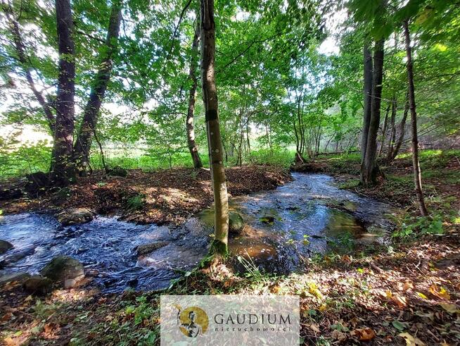 Niegdyś siedlisko-dziś Twój ruch | 5,6 ha Kobysewo