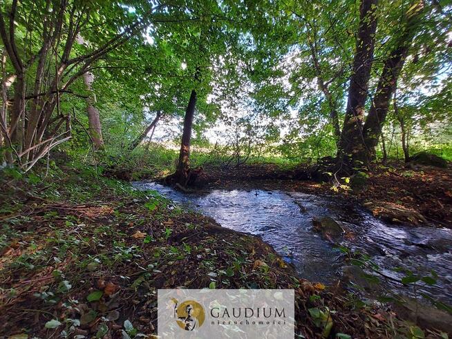 Niegdyś siedlisko-dziś Twój ruch | 5,6 ha Kobysewo