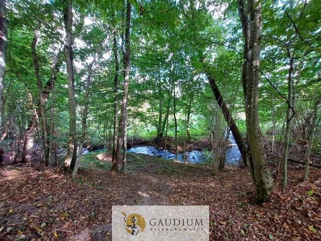 Niegdyś siedlisko-dziś Twój ruch | 5,6 ha Kobysewo