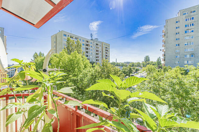 Mieszkanie Opole, Piotrkowska