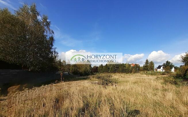 Czaple - dwie działki do wyboru