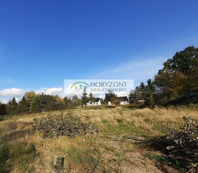 Czaple - dwie działki do wyboru