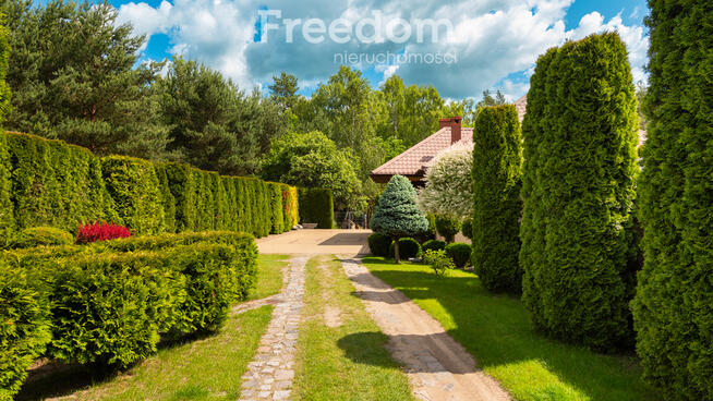 Cisza i natura - dom z widokiem na las.