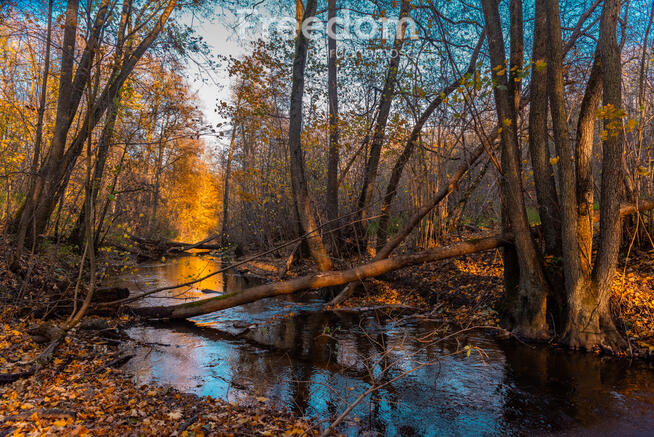 Urocza działka budowlana z lasem i rzeką !!!