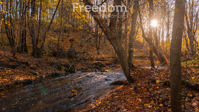 Urocza działka budowlana z lasem i rzeką !!!