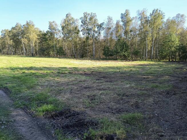 Duża działka rekreacyjna w Pilchach jezioro Roś