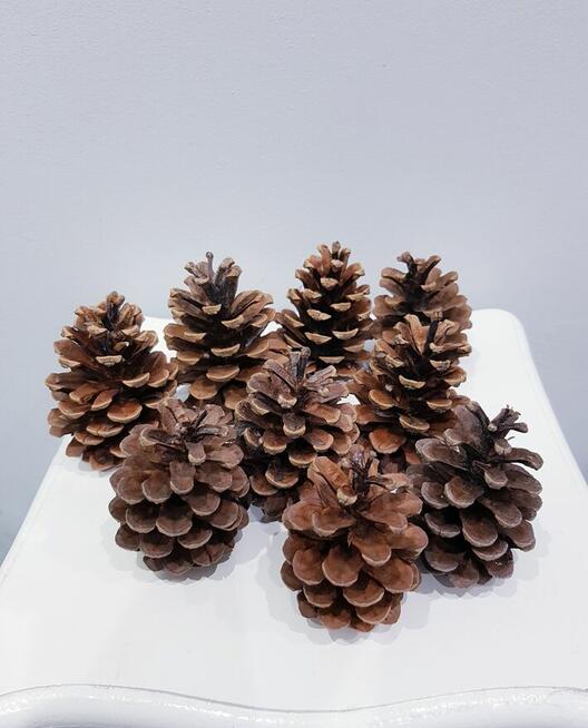 Szyszki dekoracyjne