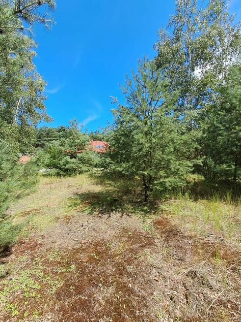 Działka budowlana o powierzchni 1686 m2, Prażuchy Nowe