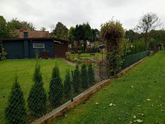 Działka Rod Rozkwit Wodzisław Śląski