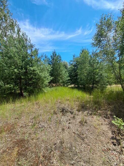 Działka budowlana o powierzchni 1686 m2, Prażuchy Nowe