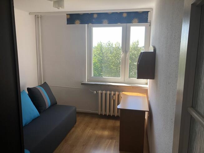 mieszkanie wynajmę , mieszkanie do wynajęcia , mieszkanie