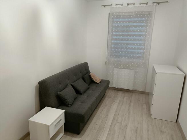 Mieszkanie do wynajęcia