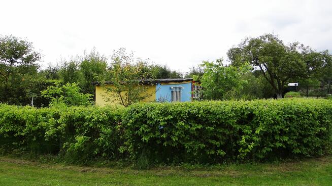 Działka ROD 448m2 w Pile Różyckiego