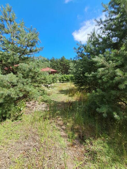 Działka budowlana o powierzchni 1686 m2, Prażuchy Nowe