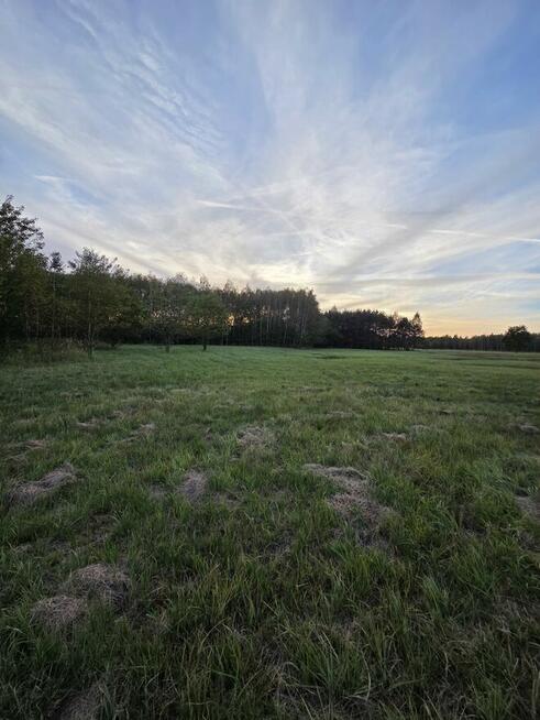 Sprzedam działki rolne położone w Knapach (Smykle)