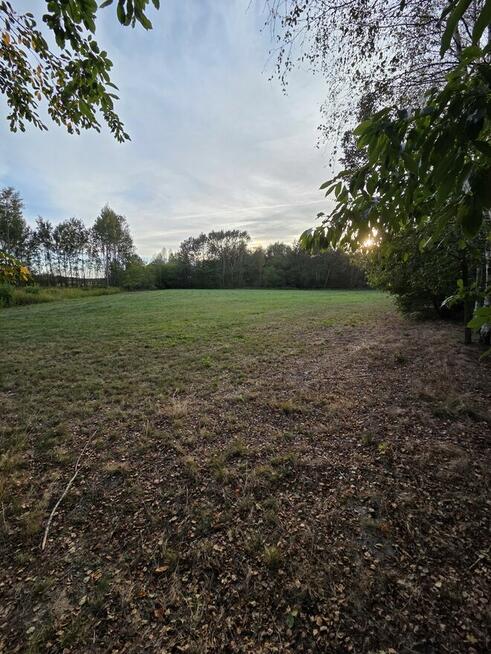 Sprzedam działki rolne położone w Knapach (Smykle)