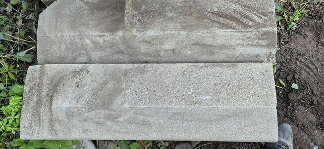 KRAWĘŻNIKI NAJAZDOWE.