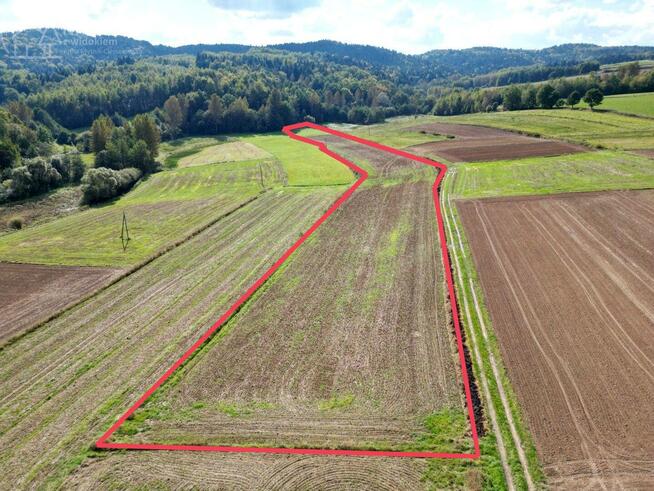 Działka rolna Jodłowa