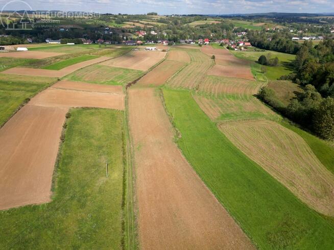 Działka rolna Jodłowa