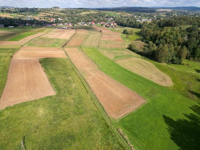 Działka rolna Jodłowa