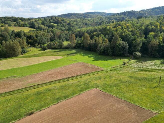 Działka rolna Jodłowa