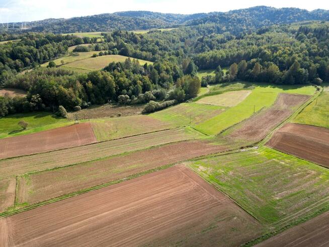 Działka rolna Jodłowa