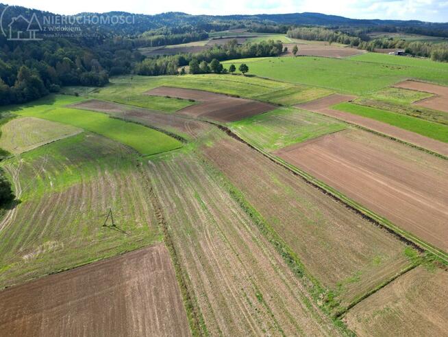 Działka rolna Jodłowa