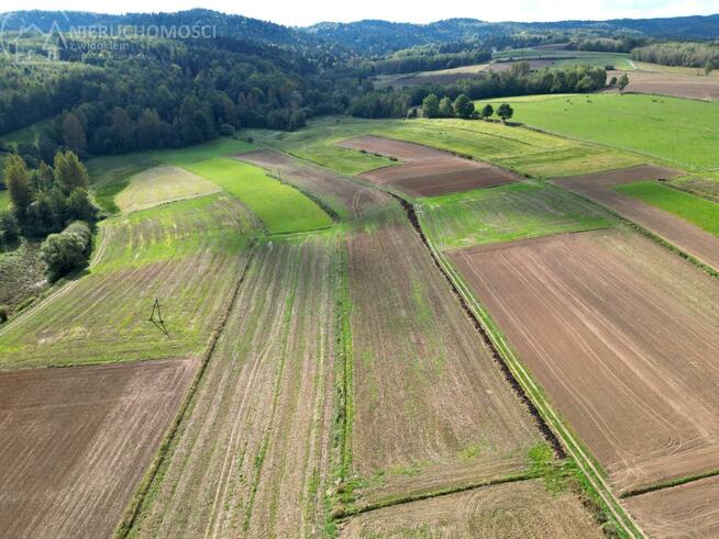 Działka rolna Jodłowa
