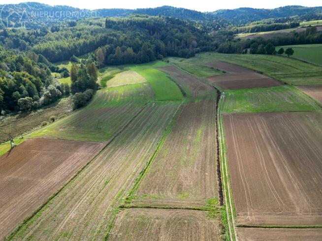 Działka rolna Jodłowa