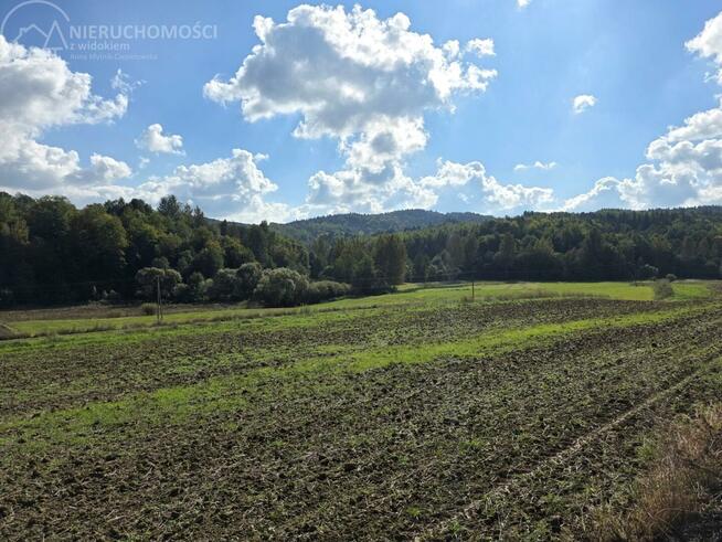 Działka rolna Jodłowa