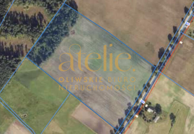 12 hektarów możliwości – Twoja oaza w sercu Kujaw!