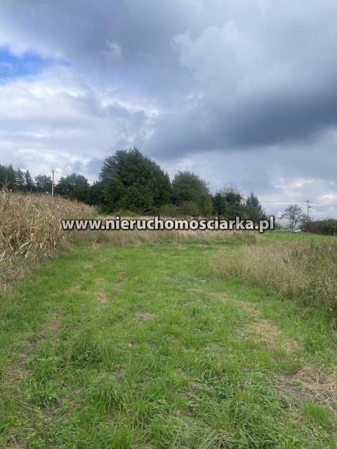 Działka rolno-budowlana Syrynia gm. Lubomia