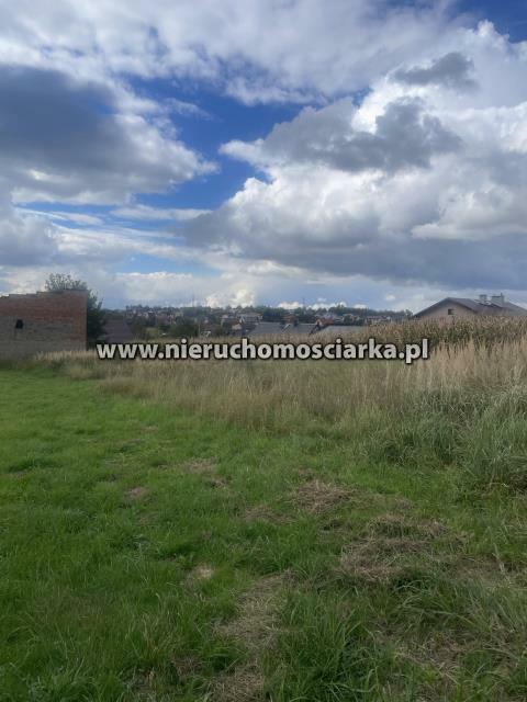 Działka rolno-budowlana Syrynia gm. Lubomia