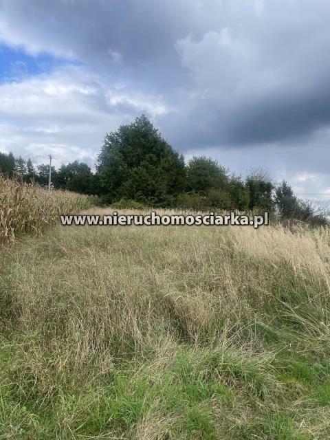 Działka rolno-budowlana Syrynia gm. Lubomia