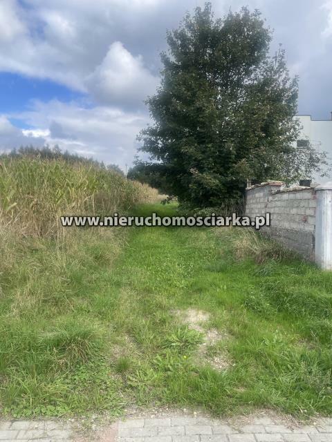 Działka rolno-budowlana Syrynia gm. Lubomia