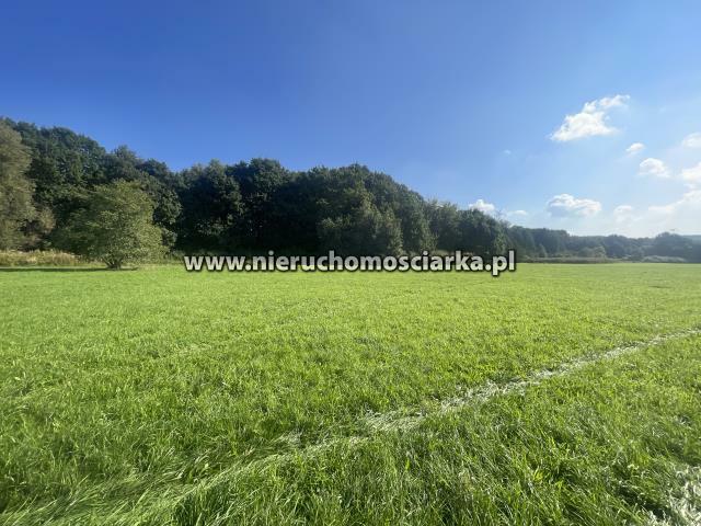 Działka rolna Syrynia gm. Lubomia