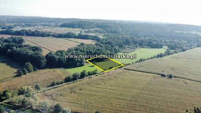Działka rolna Syrynia gm. Lubomia