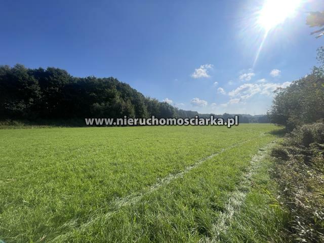 Działka rolna Syrynia gm. Lubomia